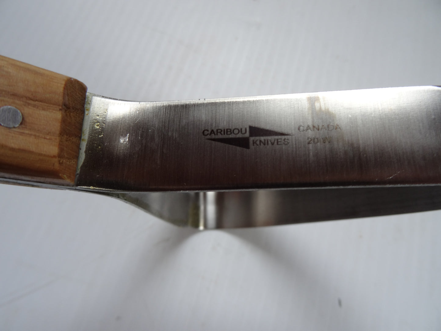 Grattoir Caribou 20 W