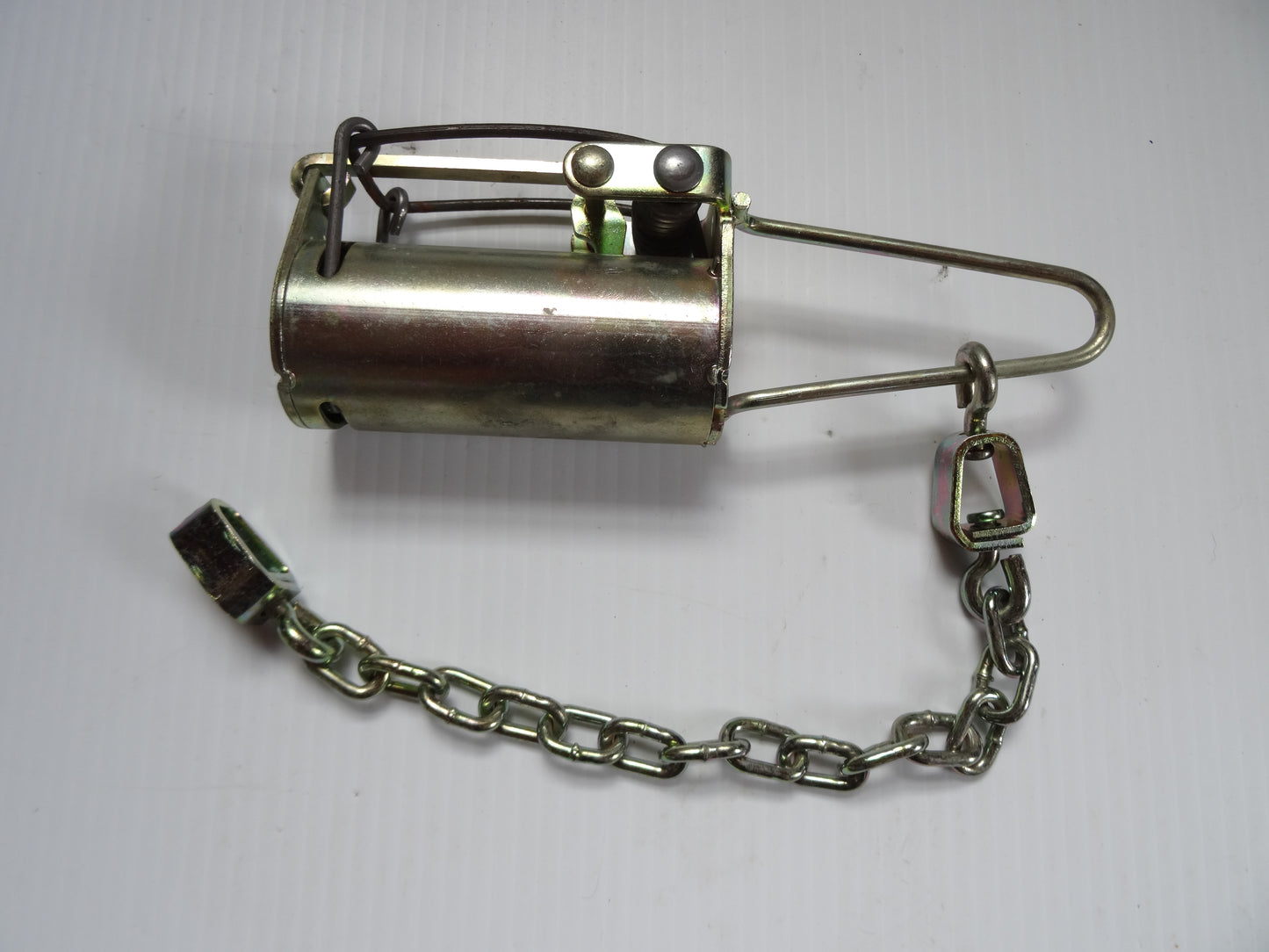 Sterling Grizz   Raton