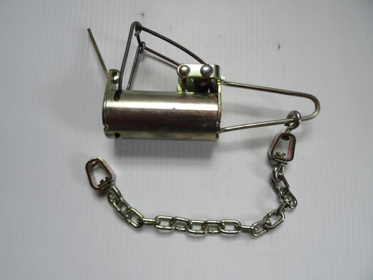 Sterling Grizz   Raton