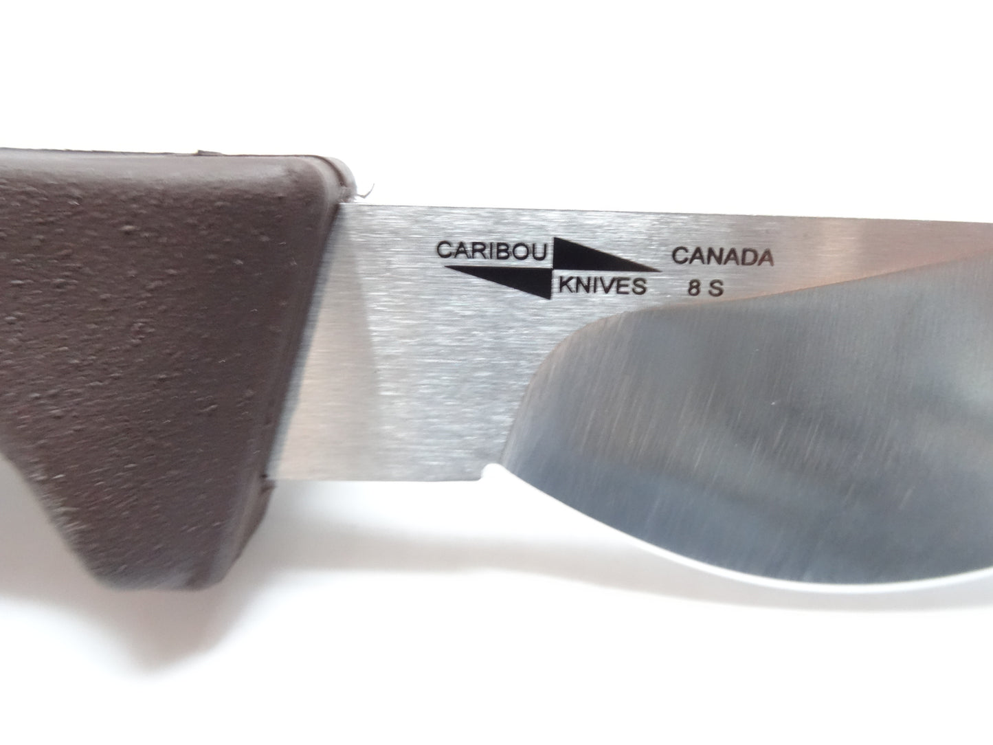 Caribou Castor