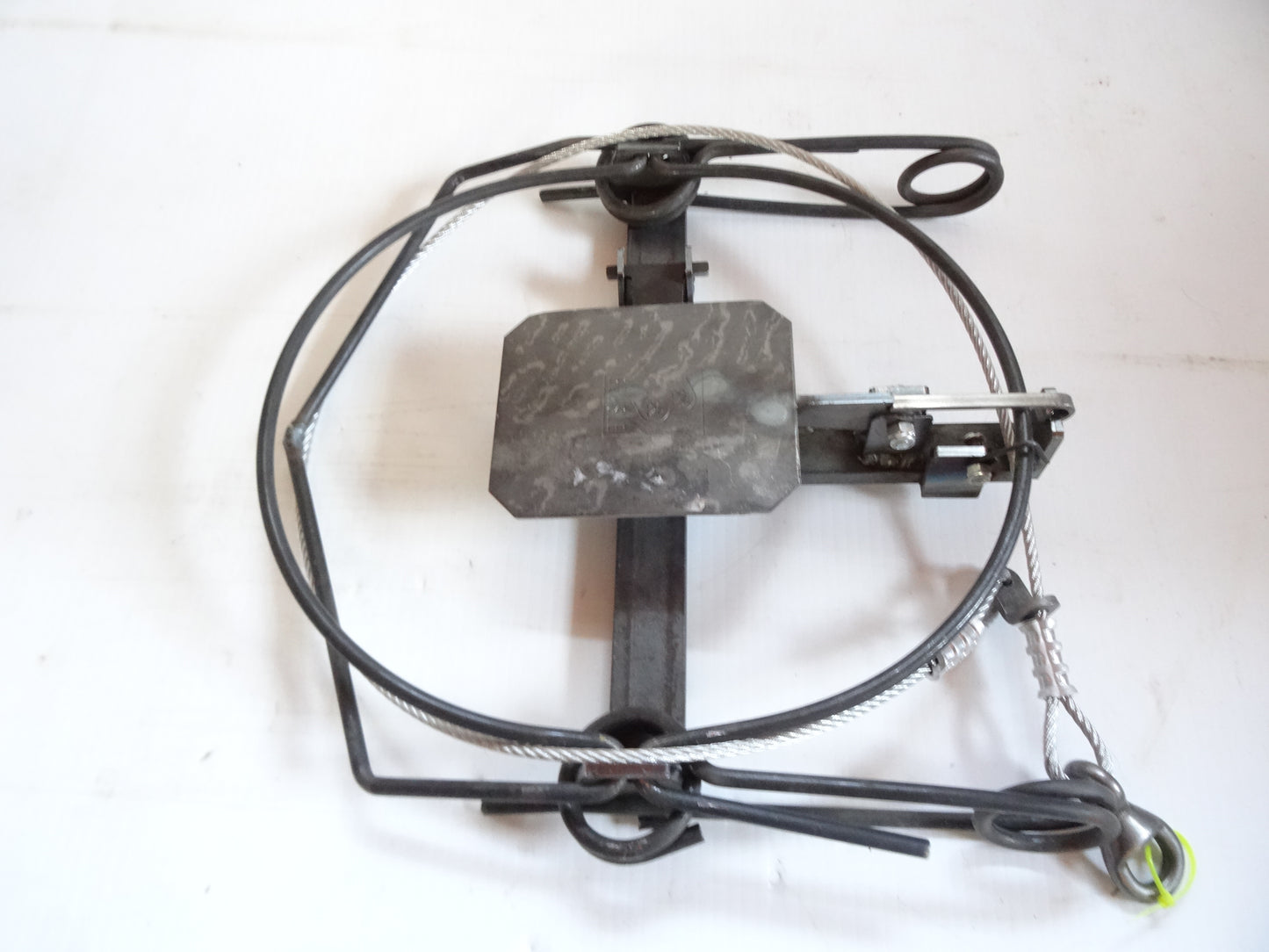 Bélisle 12" + Lacet