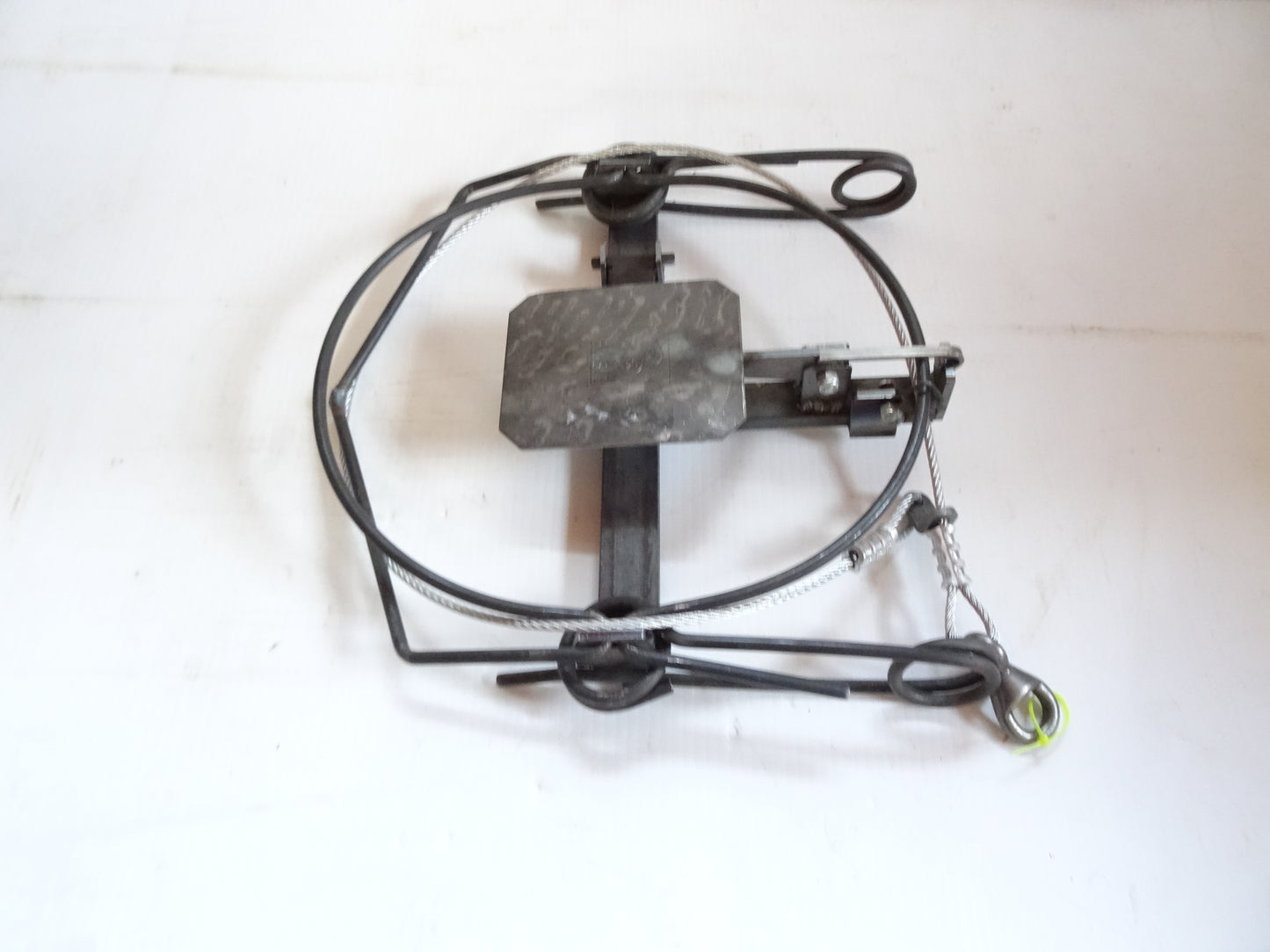 Bélisle 12" + Lacet